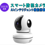 防犯カメラ ワイヤレス C46S